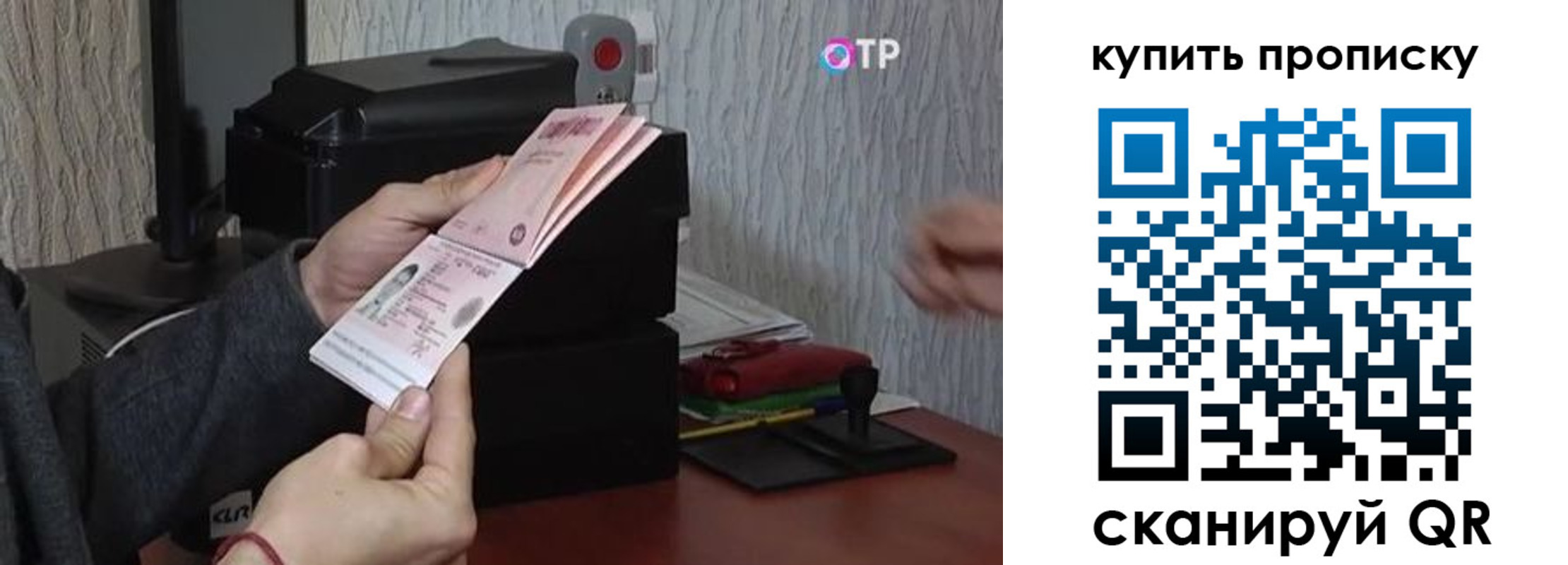прописка гарантия в Тавде